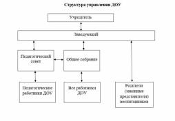 Структура и органы управления образовательной организацией.
Структурные подразделения отсутствуют.